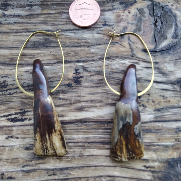 Authentic American Buffalo Teeth on Brass Hoops - Picture 4 of 7